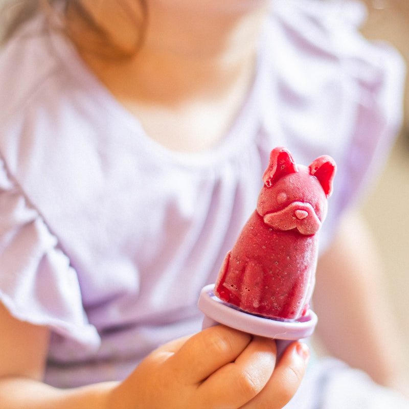 Ice cream molds with different animal shapes