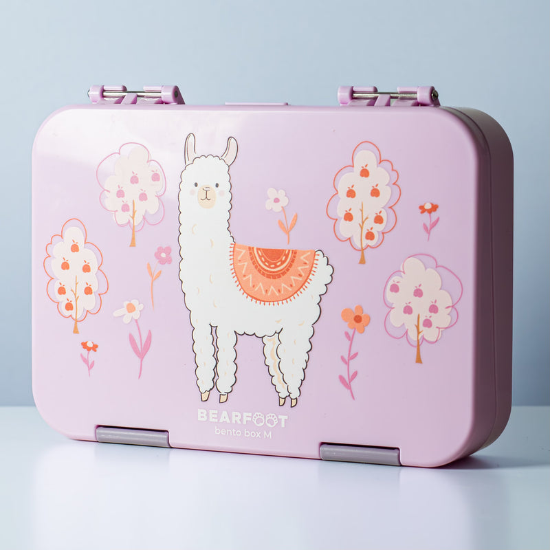 BEARFOOT Lunchbox with compartment (several variants)